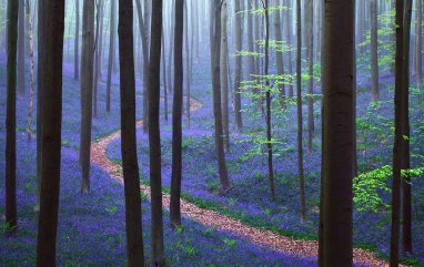 Incre�bles espacios naturales, alrededor del mundo.